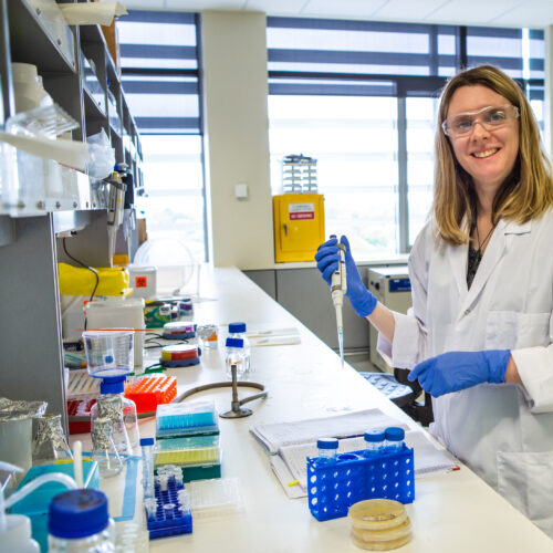 Marsden Fund grant supports UC molecular research on Alzheimer